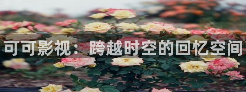 樱桃小视频樱桃小视频樱桃