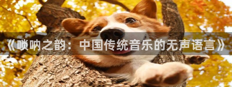 樱桃视频app免费下载