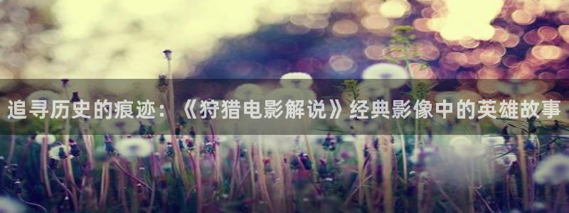 樱桃视频ty