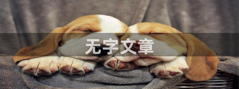 视频在线观看樱桃视频