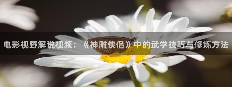 樱桃电影下载