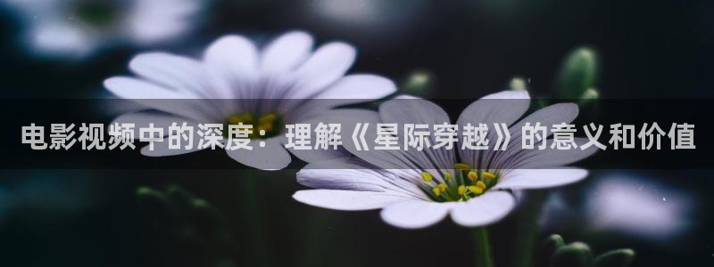 樱桃成视频人在线