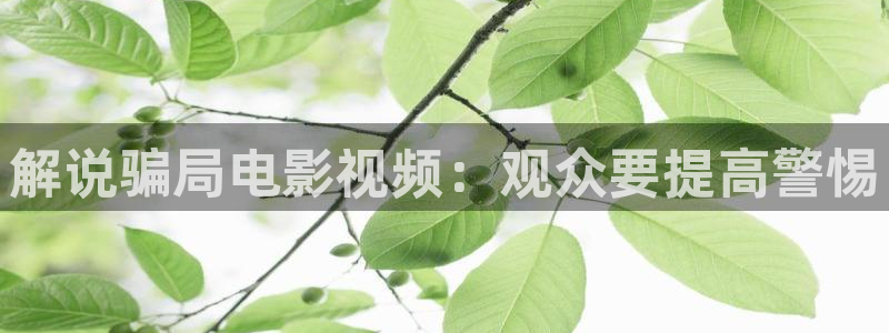樱桃电影版苗圃