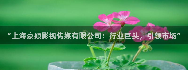 樱桃视频美女直播