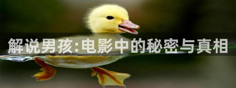 怎么下载不了樱桃视频软件
