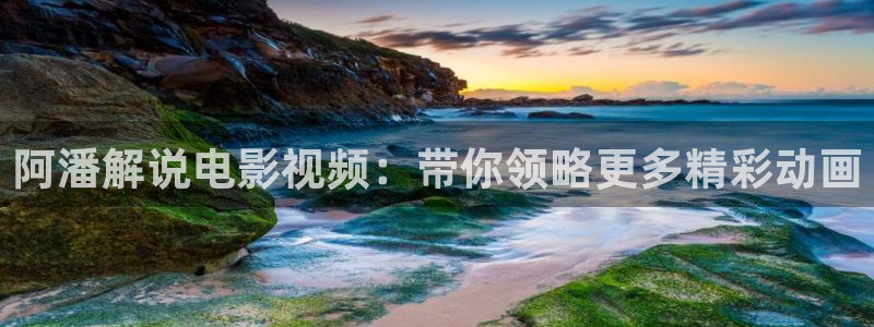樱桃视频免费版在线观看：阿潘解说电影视频：带你领略更多精彩动画