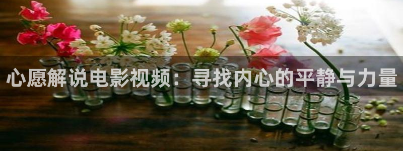 樱桃视频播放