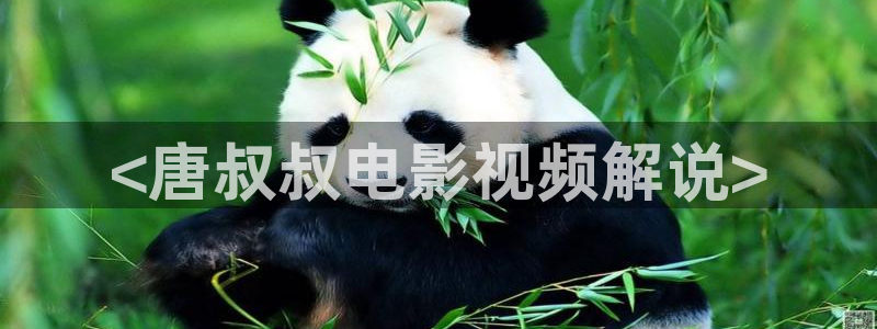 免费看樱桃