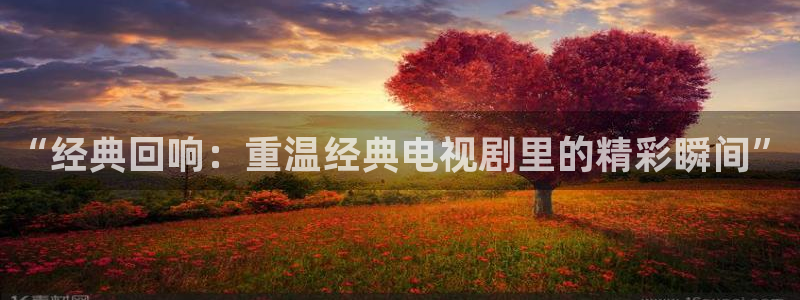 樱桃视频大全免费高清版下载
