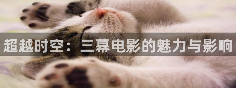 樱桃视频黄片软件