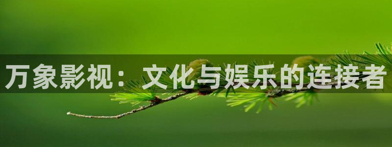 下载樱桃视频