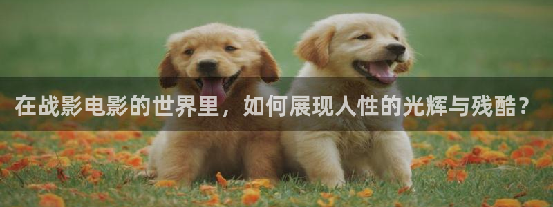 樱桃视频网站入口在线观看