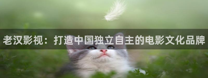 免费观看樱桃电视剧
