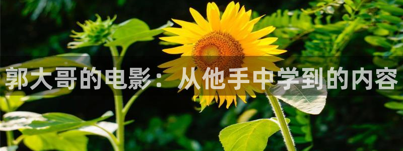 樱桃电视剧在线观看免费高清