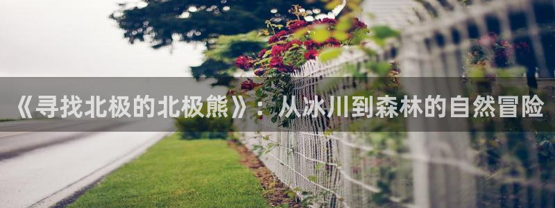 樱桃舞视频下载