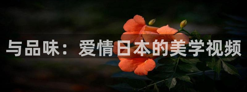 樱桃小视频和短视频入口