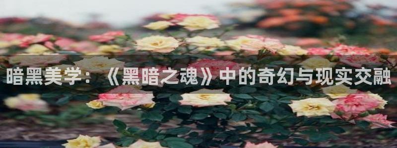 樱桃视频涩涩