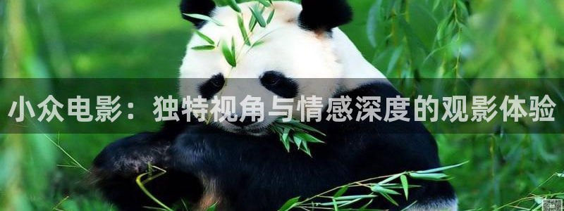 新樱桃视频