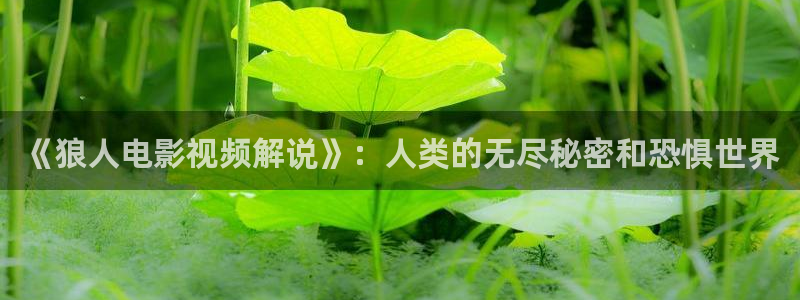 快手樱桃姐姐跳舞视频