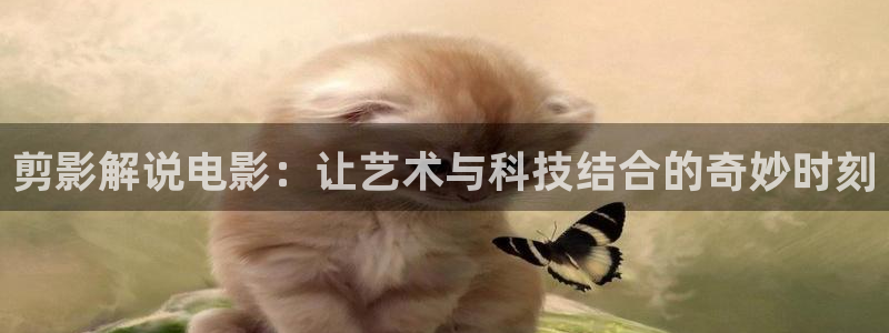 樱桃红之袖珍妈妈电视剧全集在线观看