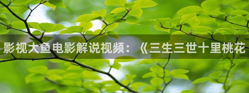 樱桃红电视剧免费观看全集