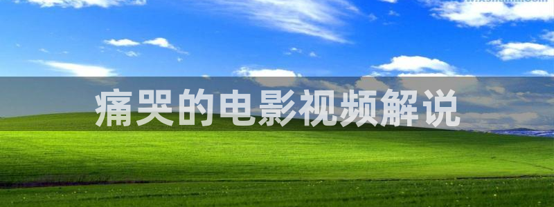 樱桃夏季修剪技术视频观看