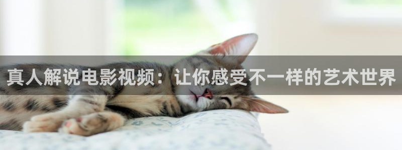 樱桃视频最新网站