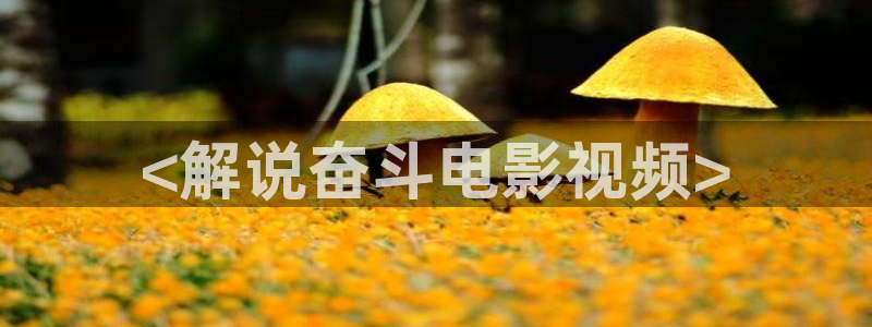 樱桃电视剧高清