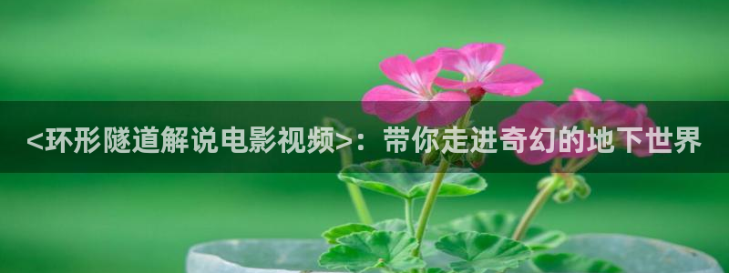 电视连续剧樱桃全集免费播放