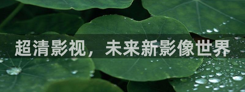 樱桃视频免费网站