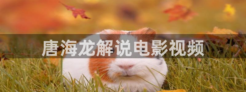 在线观看免费樱桃视频