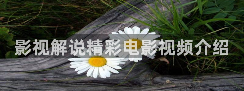 樱桃视频破解版下载