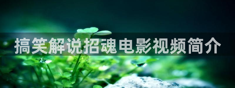 樱桃电视剧全38集免费观看