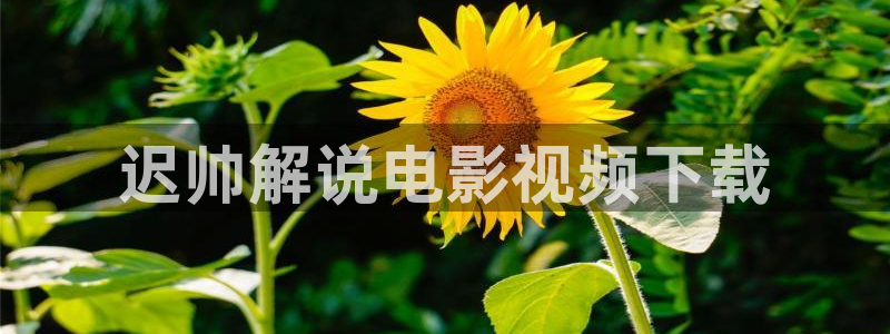 www..com樱桃视频