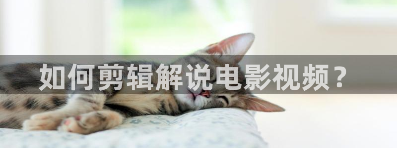 樱桃琥珀电视剧全集播放免费