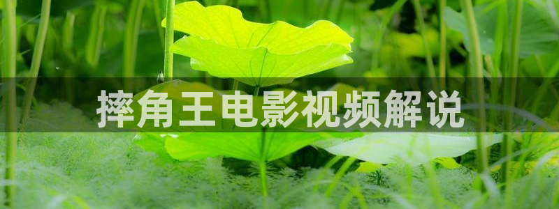 樱桃视频啪