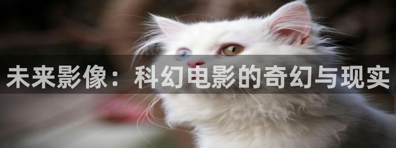 樱桃在线观看免费高清电视剧全集下载