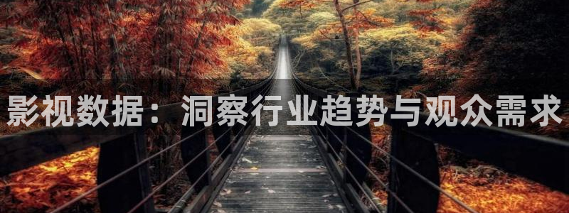 樱桃yingtao