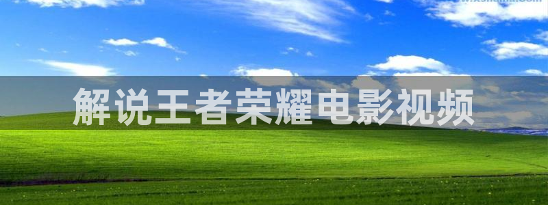 樱桃app视频在线观看