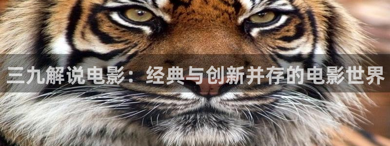 大樱桃的栽培技术视频