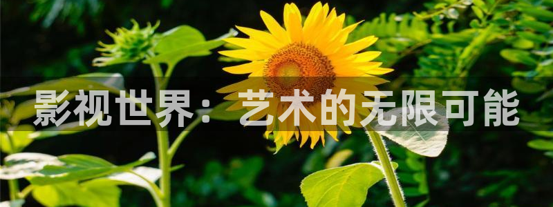 樱桃视频j：影视世界：艺术的无限可能