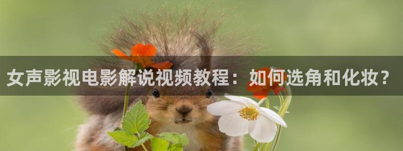 樱桃 电视剧 免费观看