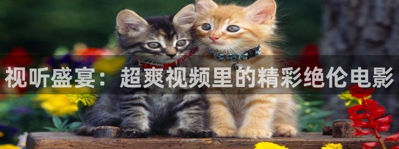 大樱桃夏季嫁接视频