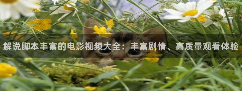 樱桃影院在线观看免费
